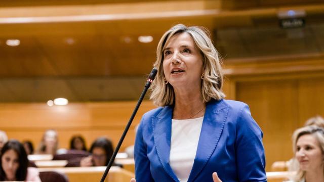 La portavoz del PP en el Senado, Alicia García
