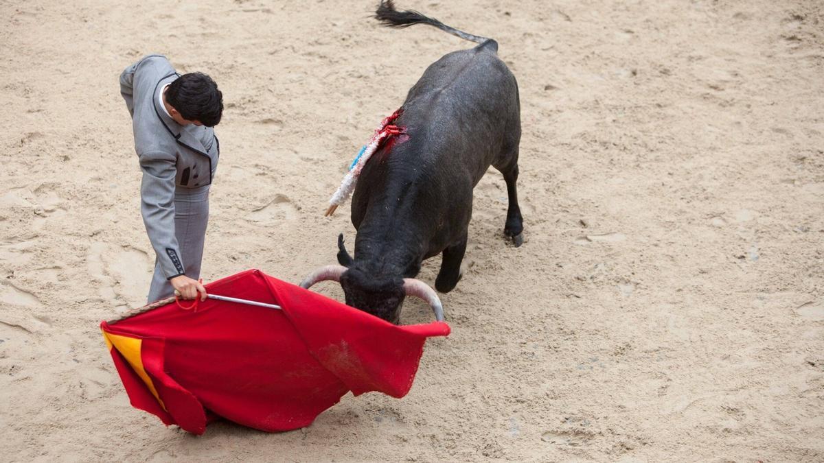 Festival taurino en la plaza de toros de Zestoa.