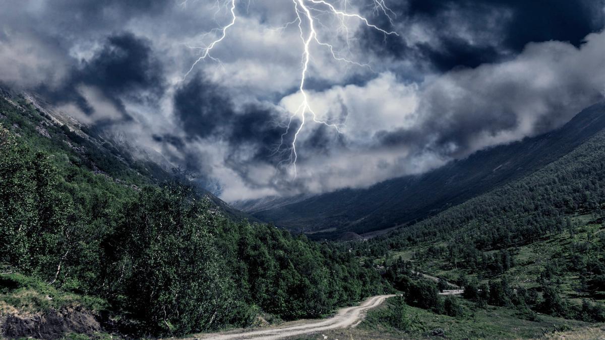 Un rayo cae sobre un bosque.
