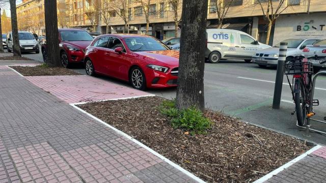Gasteizek 452.000 euroan esleitu ditu 40.000 zuhaitz-txorko baino gehiagoren mantentze-lanak.