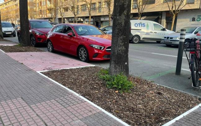 Gasteizek 452.000 euroan esleitu ditu 40.000 zuhaitz-txorko baino gehiagoren mantentze-lanak.