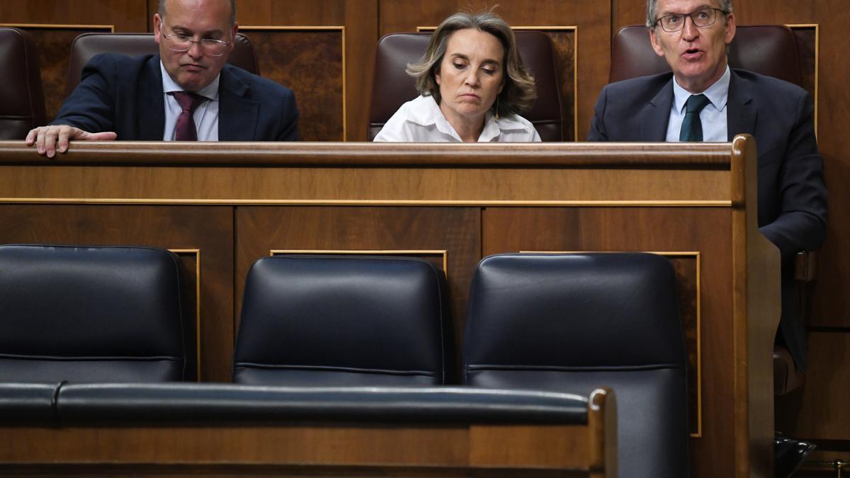 El presidente del PP, Alberto Núñez Feijóo, junto a Cuca Gamarra y Manuel Tellado, en el Congreso de los Diputados