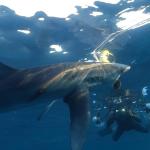 Imagen de la película documental 'Kantauri'