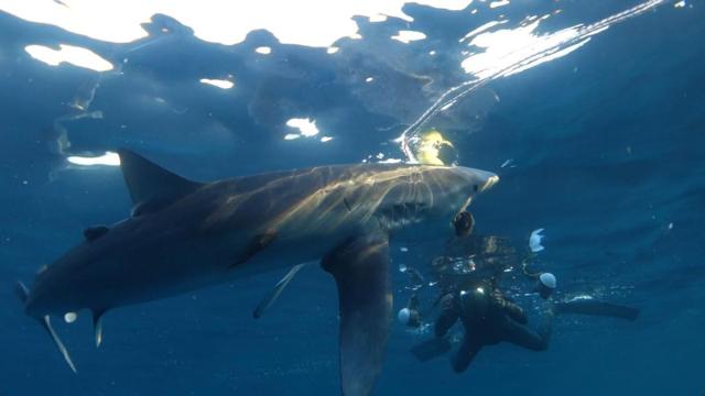 Imagen de la película documental 'Kantauri'