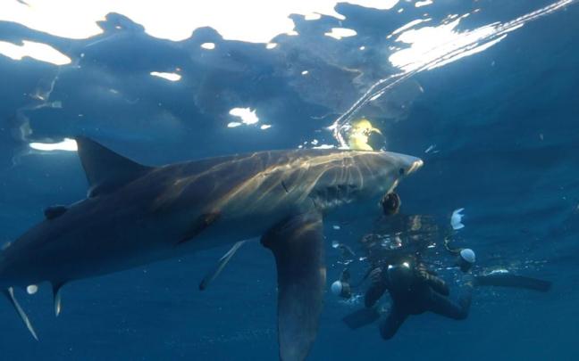 Imagen de la película documental 'Kantauri'