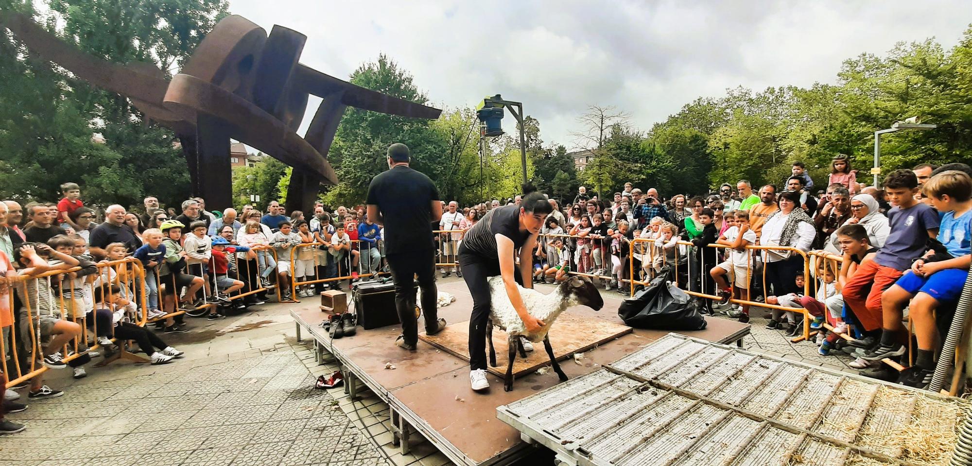 Exhibición de esquileo de ovejas en el parque