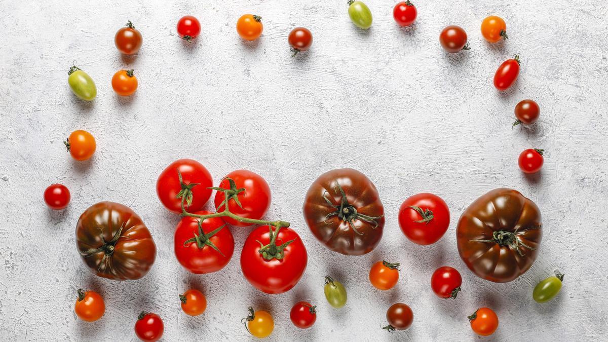 Variedades de tomates.