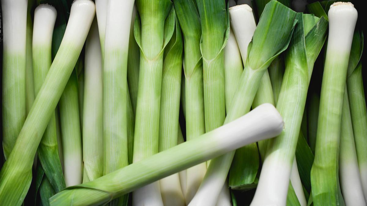 Aunque la parte del puerro más usada es la blanca, a las hojas verdes se les puede sacar mucho partido.