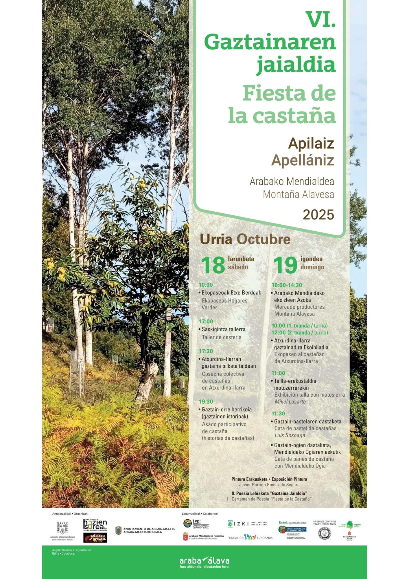 Programa de la VI fiesta de la castaña en Apellániz