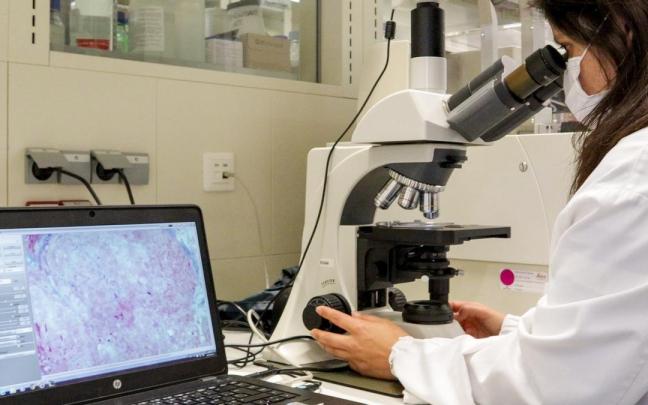 Investigación del nanomedicamento para tratar la enfermedad rara de Fabry.