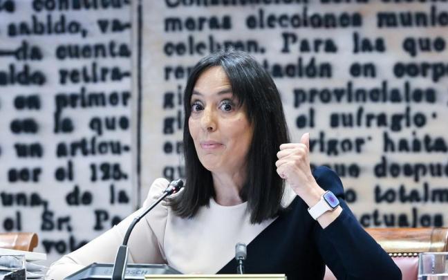 La directora de la Guardia Civil, Mercedes González, durante su comparecencia en el Senado.