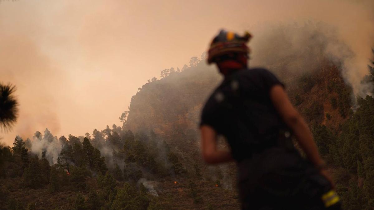 Imágenes de los incendios forestales dispersos en diferentes puntos de Tenerife