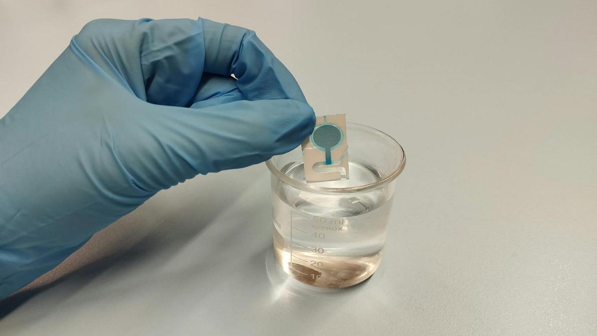 Dispositivo microfluídico horizontal para la detección de la escopolamina.