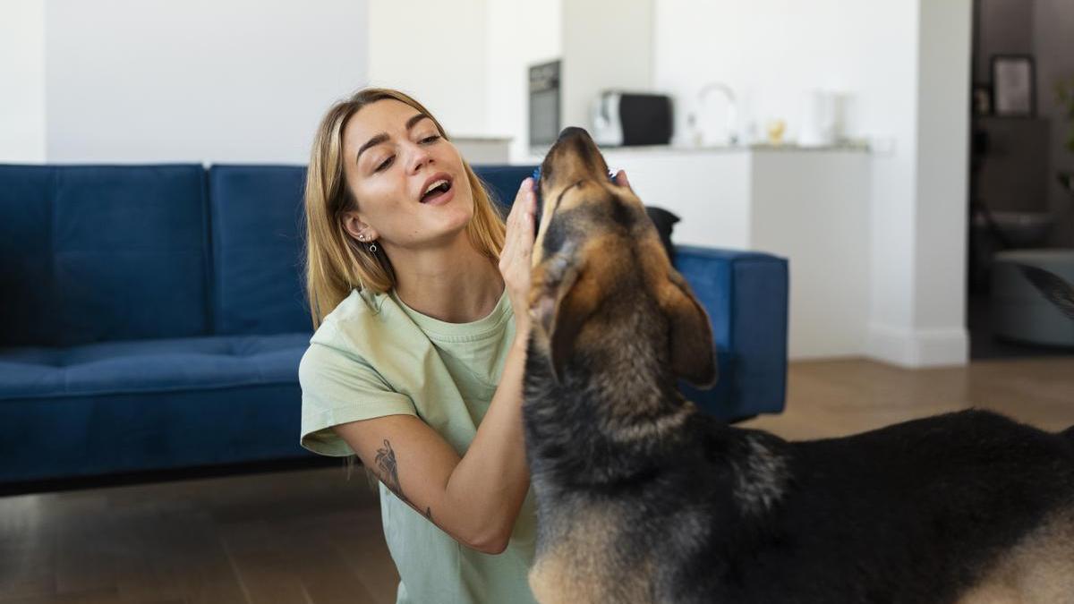 Dueña acaricia a su perro en casa.