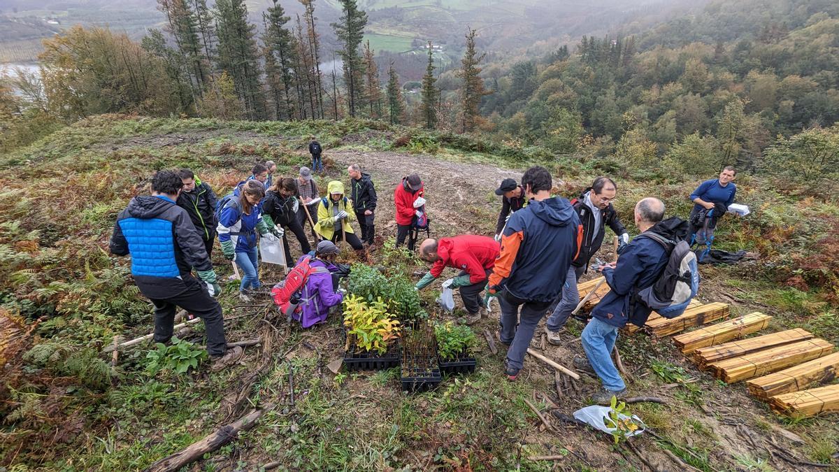 Elgoibarko Baso Biziak busca promover el bosque autóctono de Elgoibar.
