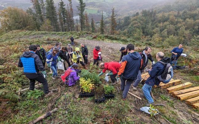Elgoibarko Baso Biziak busca promover el bosque autóctono de Elgoibar.