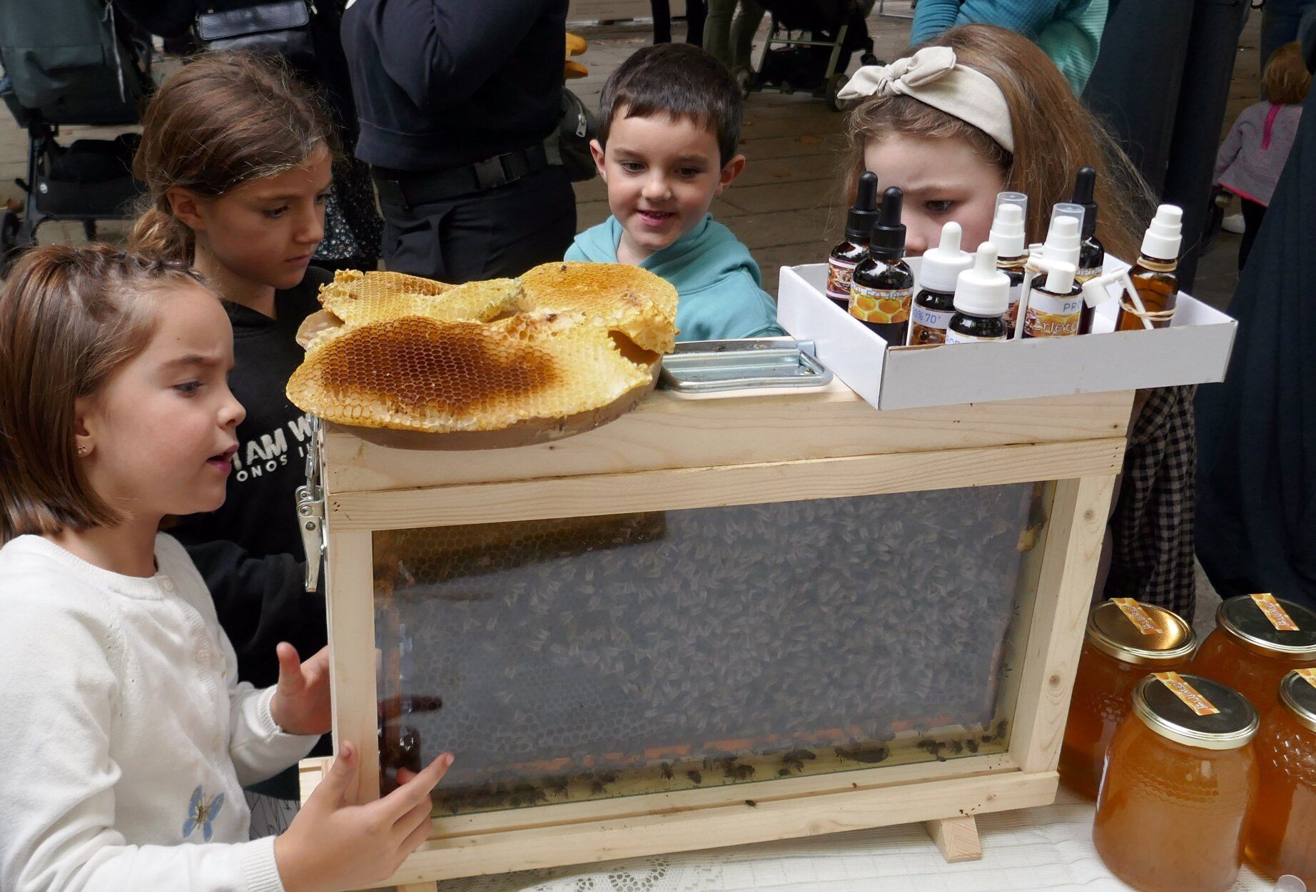 Niños buscando a la abeja reina en una colmena, durante una feria de producto local en Navarra.