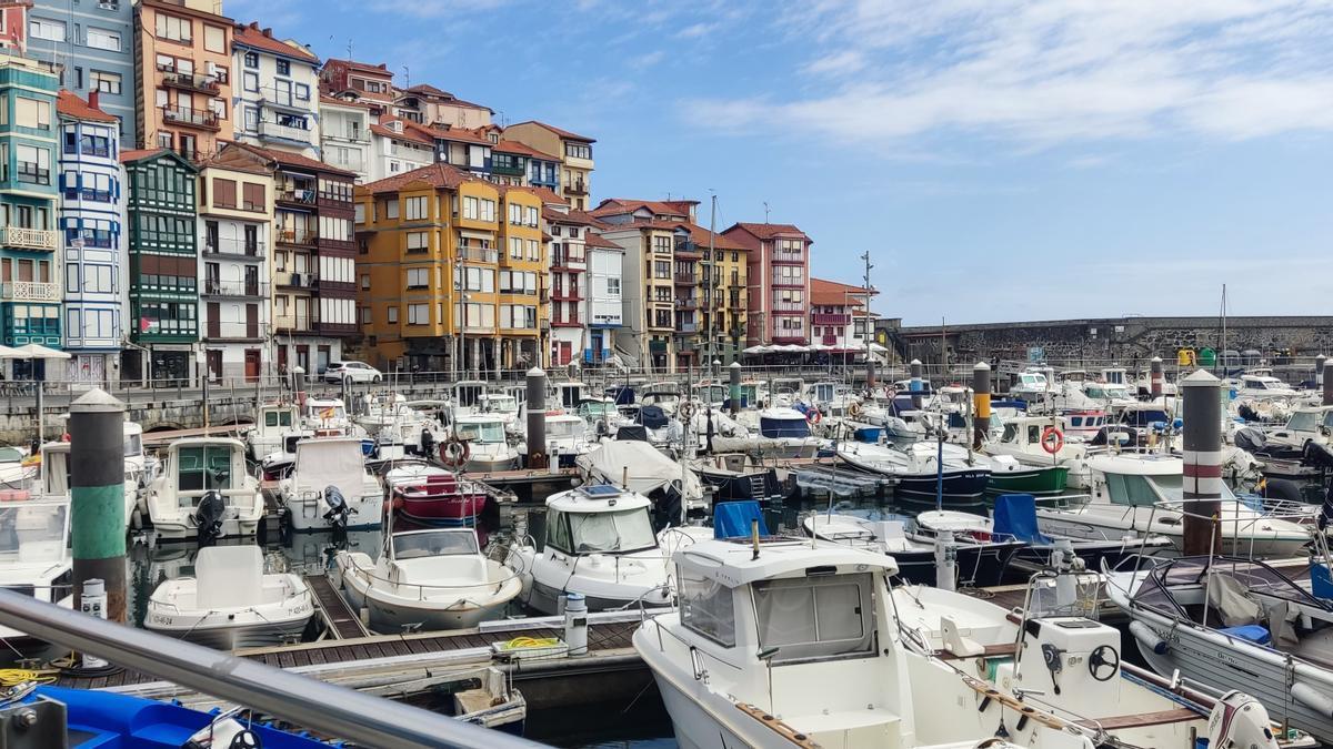 Se solicitará formalmente la declaración al Gobierno Vasco