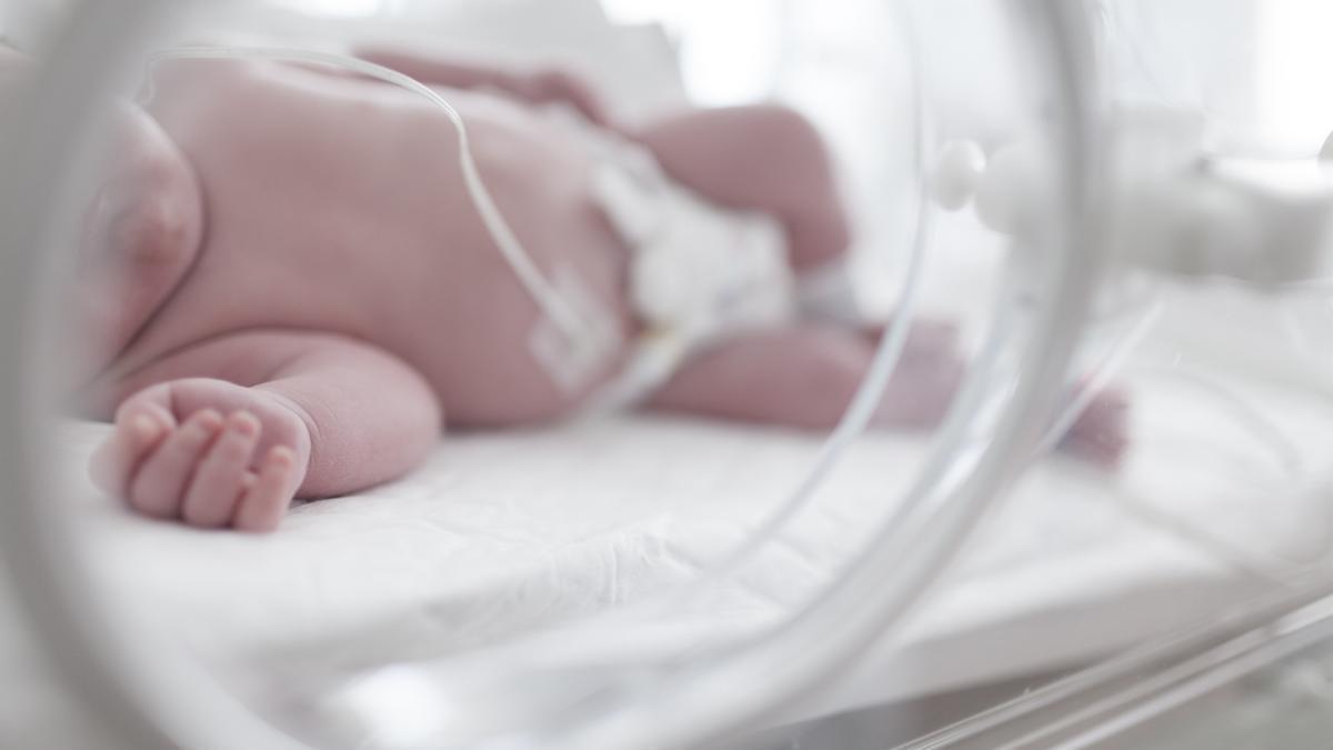 Un recién nacido en una incubadora.