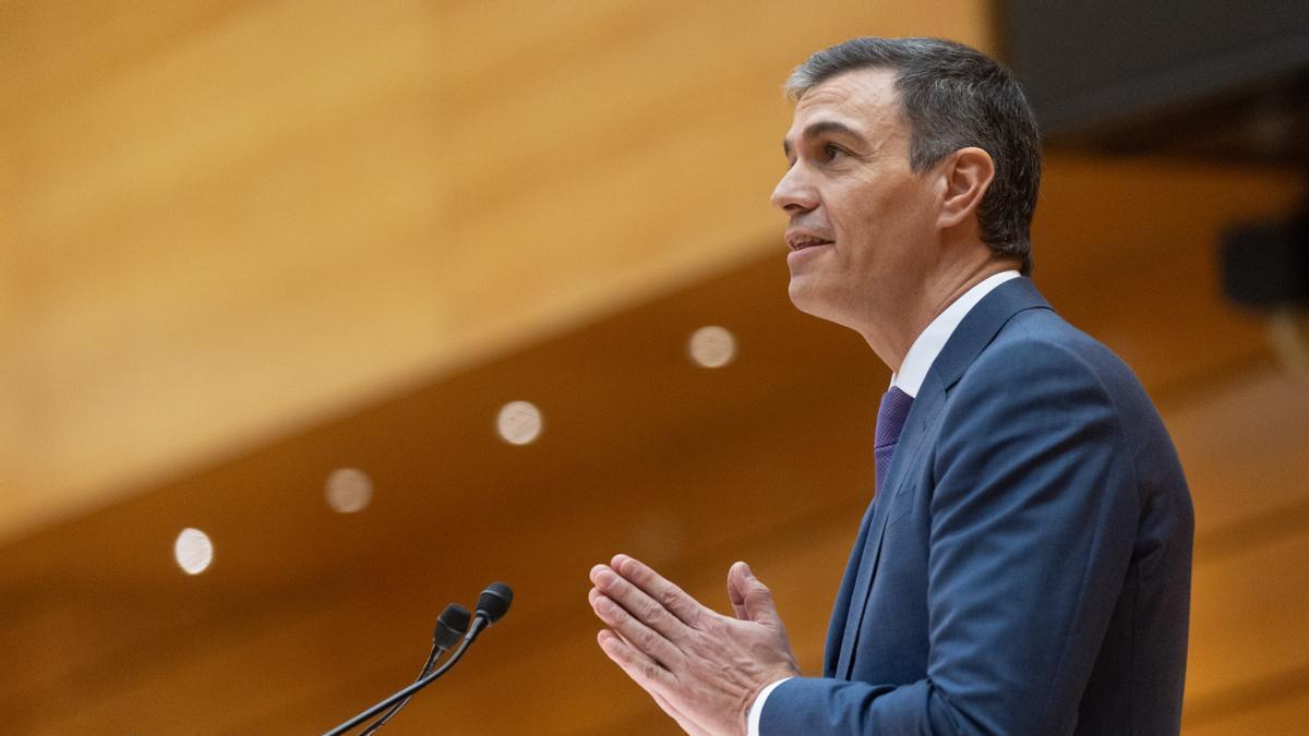 El presidente del Gobierno Pedro Sánchez, interviene durante la sesión extraordinaria del Congreso
