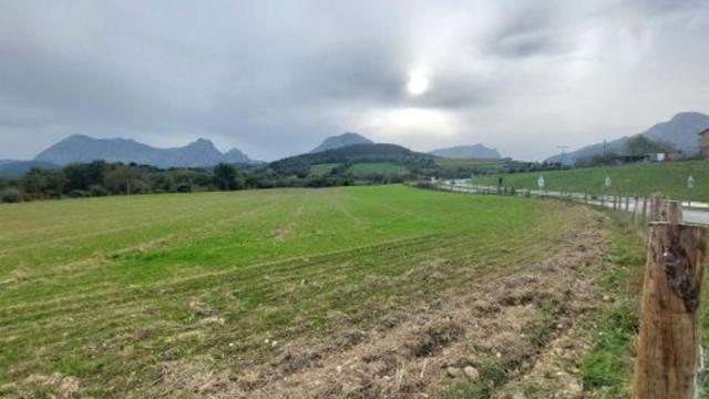 Las obras de adecuación arrancarán el año que viene