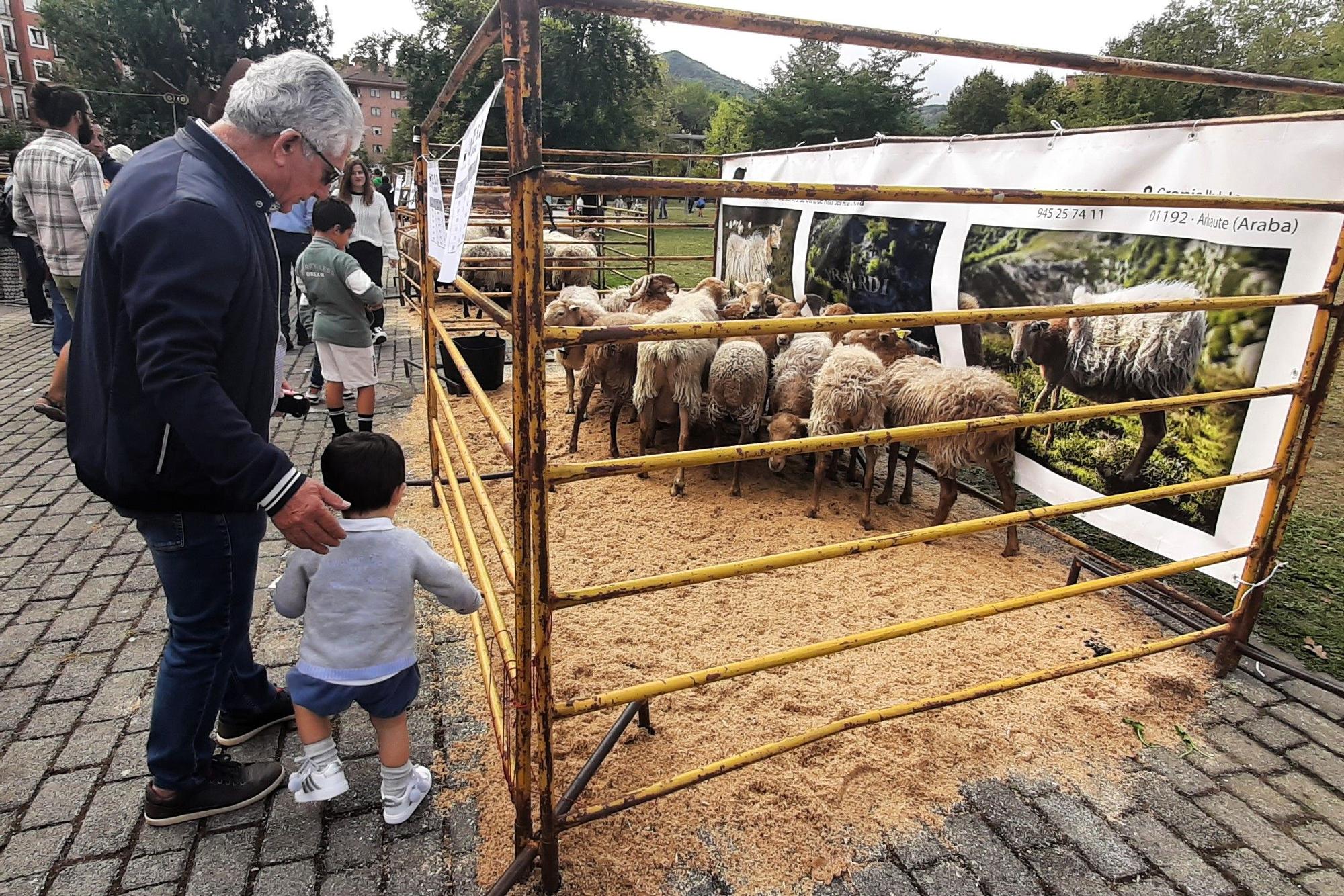 Corral de ovejas Sasi Ardi