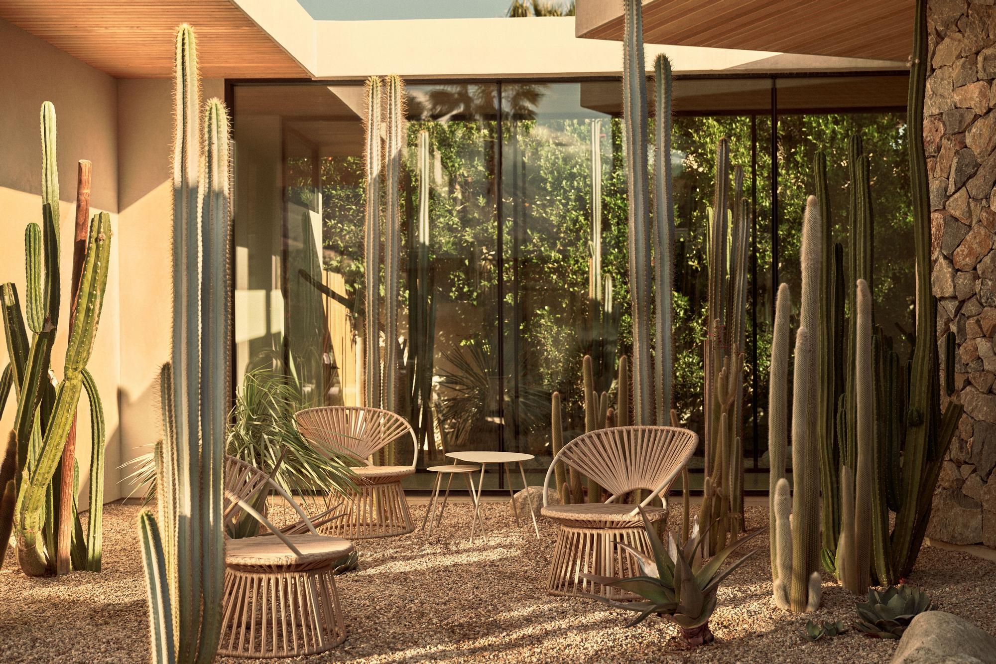 Un jardin de cactus decoran este patio interior.