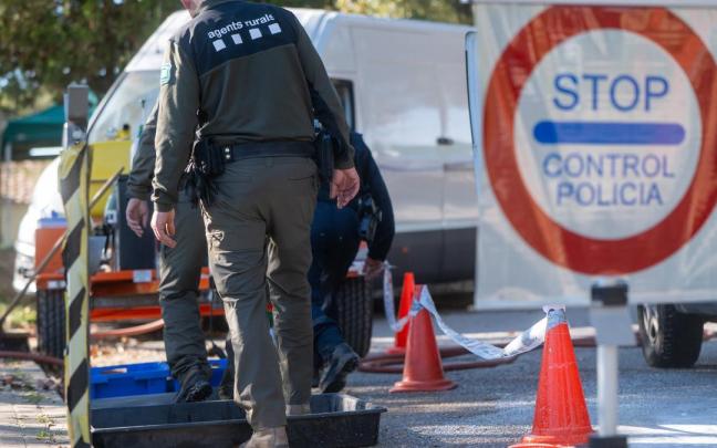 Efectivos de la UME en la zona en cuarentena por la Peste Porcina Africana en Torrefarrussa