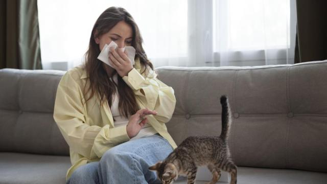 Una mujer sufre una reacción alérgica a su gato.