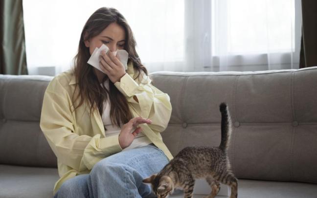 Una mujer sufre una reacción alérgica a su gato.