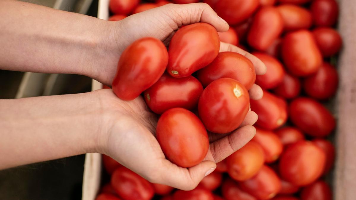 Tomates de pera listos para ser convertidos en salsa.