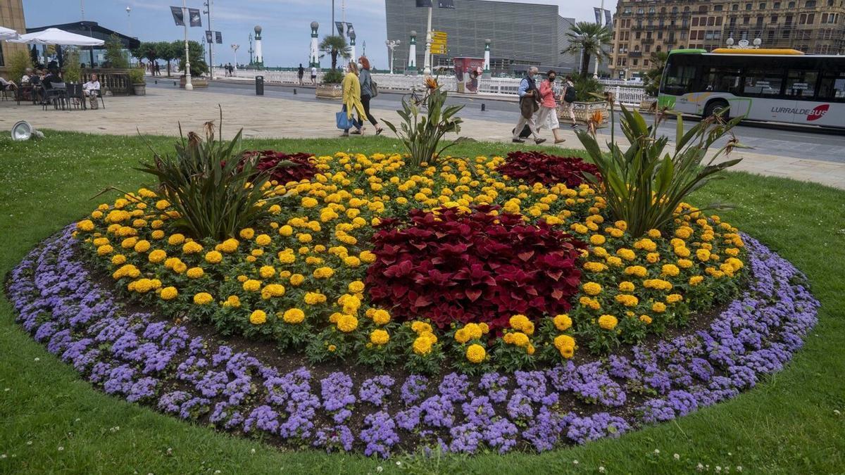 Jardines con flores en la plaza de Okendo de Donostia