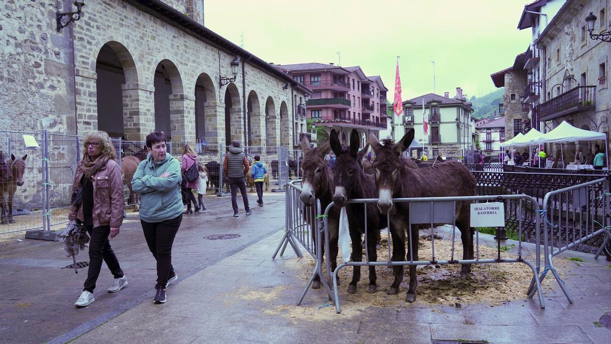 La exposición de animales en una pasada edición de la feria de San Isidro.