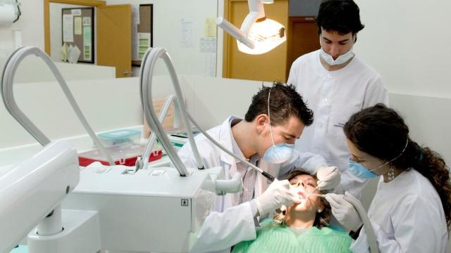 Estudiantes de Odontología haciendo prácticas en la clínica universitaria de Leioa. / EHU Estudiantes de Odontología haciendo prácticas en la clínica universitaria de Leioa.