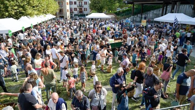 Feria de la cosecha de la manzana del año pasado.