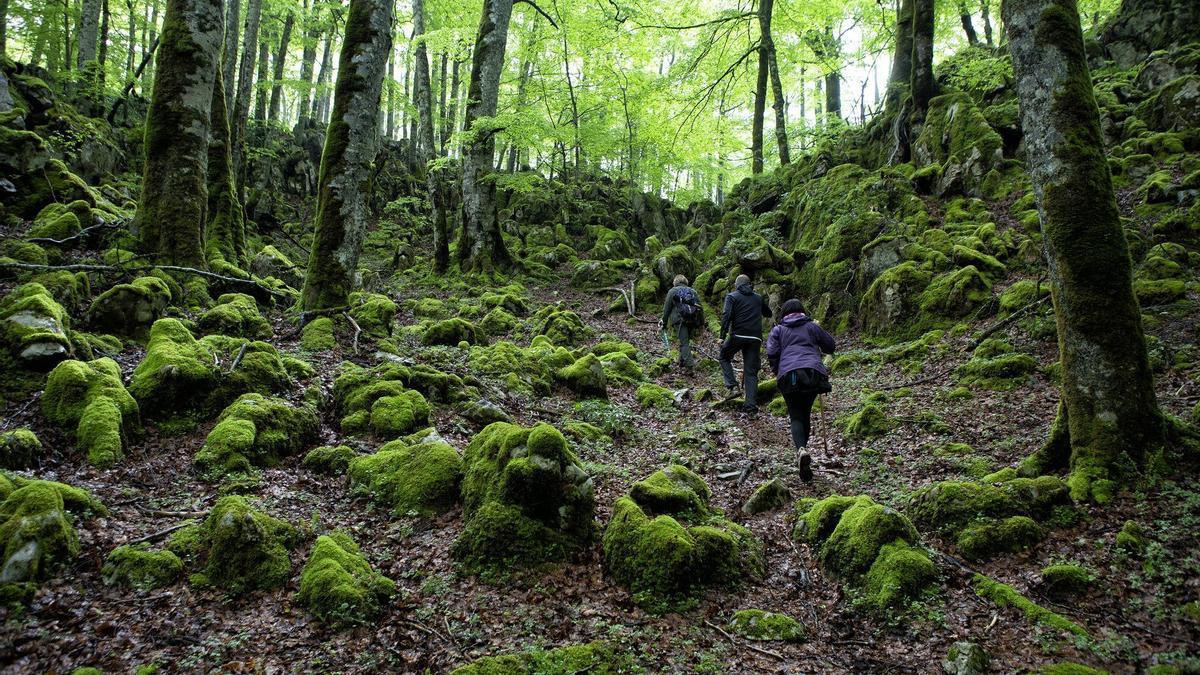 Villalba, con una pareja de clientes en una visita guiada por la Selva de Irati.