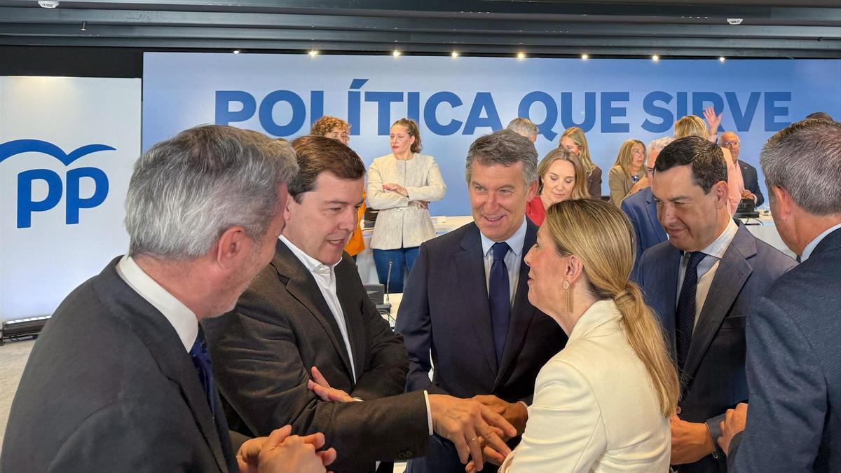 Alberto Núñez Feijóo, en el Comité Ejecutivo Nacional.