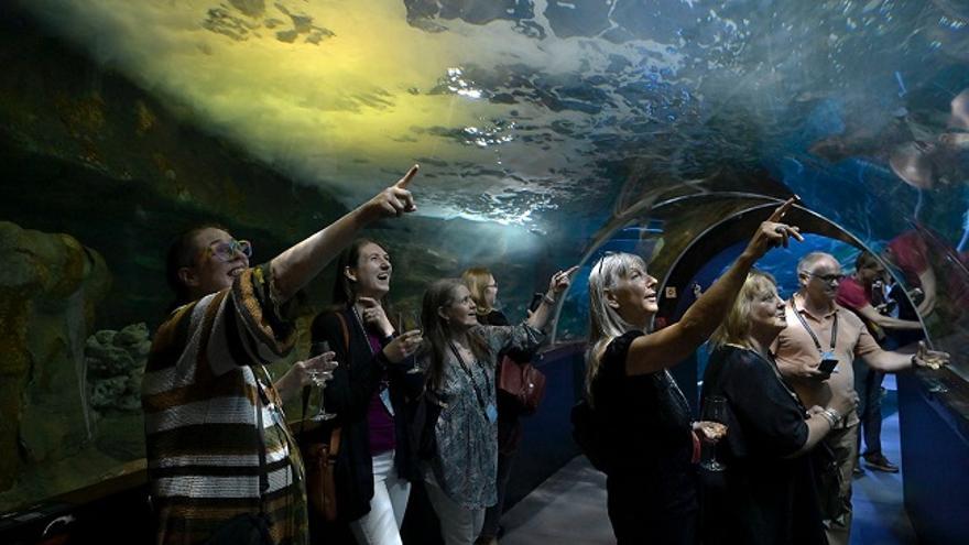 El 'Meet Basque Country 2023' dio comienzo en el Aquarium de Donostia