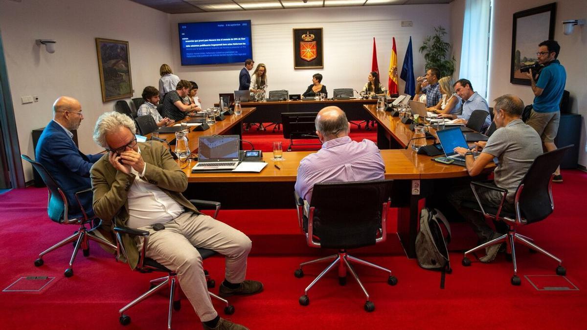 La Comisión de Desarrollo Económico y Empresarial en una sesión anterior