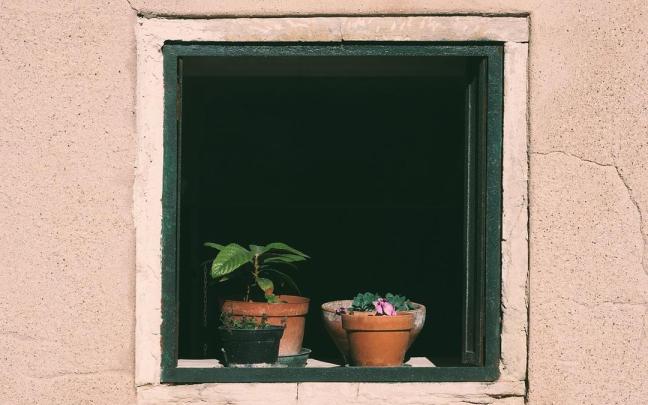 ¿Cada cuánto hay que ventilar?