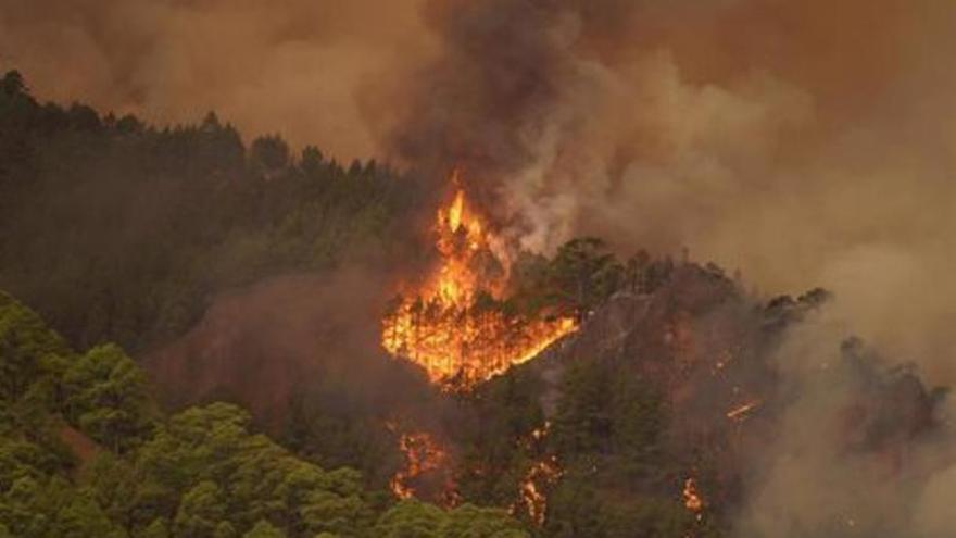 Imagen de archivo de los incendios forestales en Tenerife.