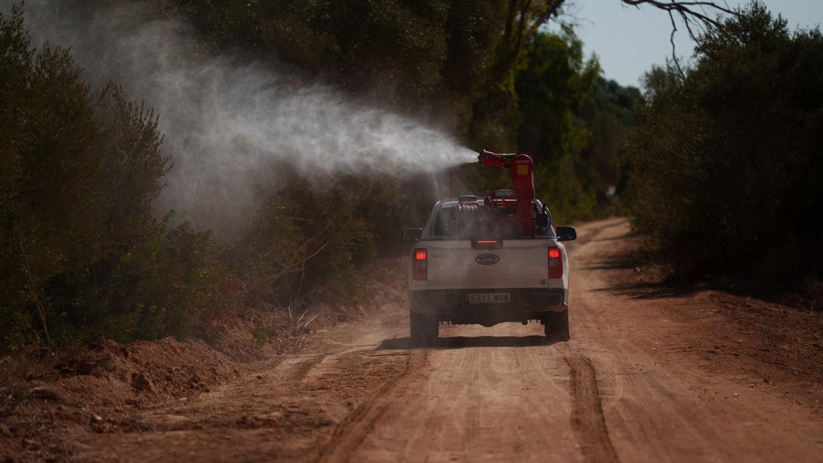 Operarios realizan trabajos de control y tratamiento de mosquitos transmisores del virus del Nilo occidental en una localidad sevillana