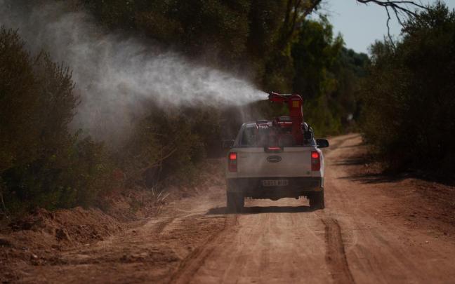 Operarios realizan trabajos de control y tratamiento de mosquitos transmisores del virus del Nilo occidental en una localidad sevillana