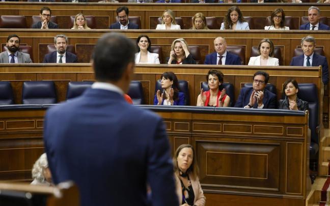 Sánchez se dirige a Feijóo en el Congreso. / EFE Sánchez se dirige a Feijóo en el Congreso.