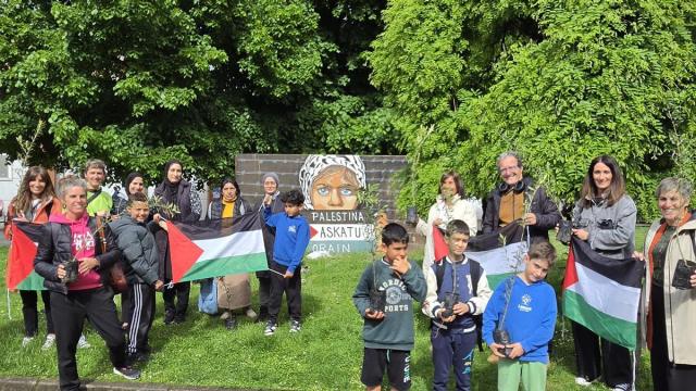 Reparto de los olivos que se plantarán en los patios de los centros educativos de Laudio