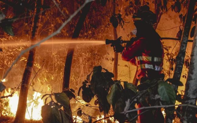 Efectivos de la UME en labores de extinción del incendio forestal de la isla de Tenerife.