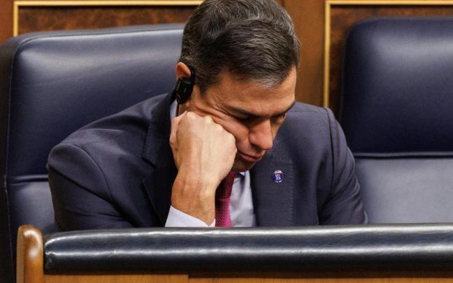 Pedro Sánchez, en el Congreso esta semana. Pedro Sánchez, en el Congreso esta semana.