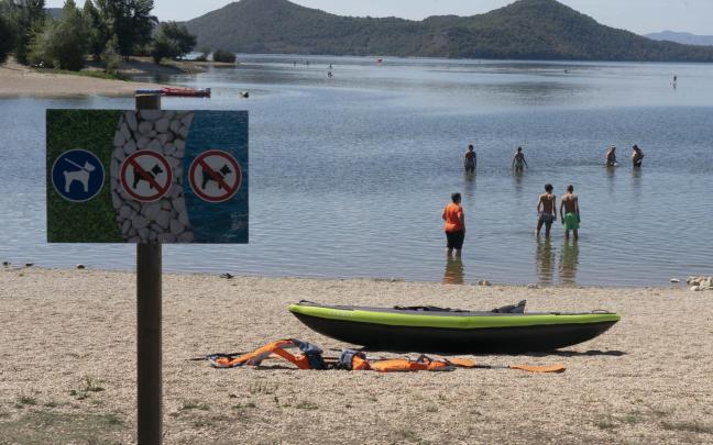 Foto: Alex Larretxi / Iñigo Foronda