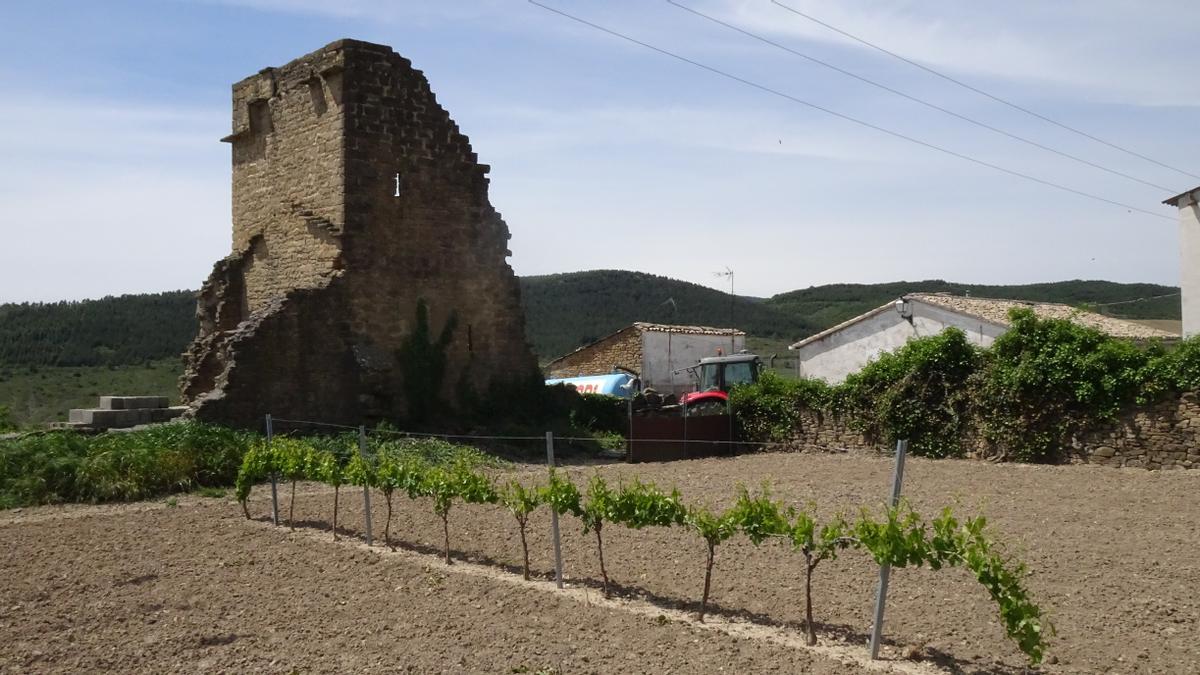 Los restos del palacio de Leache.