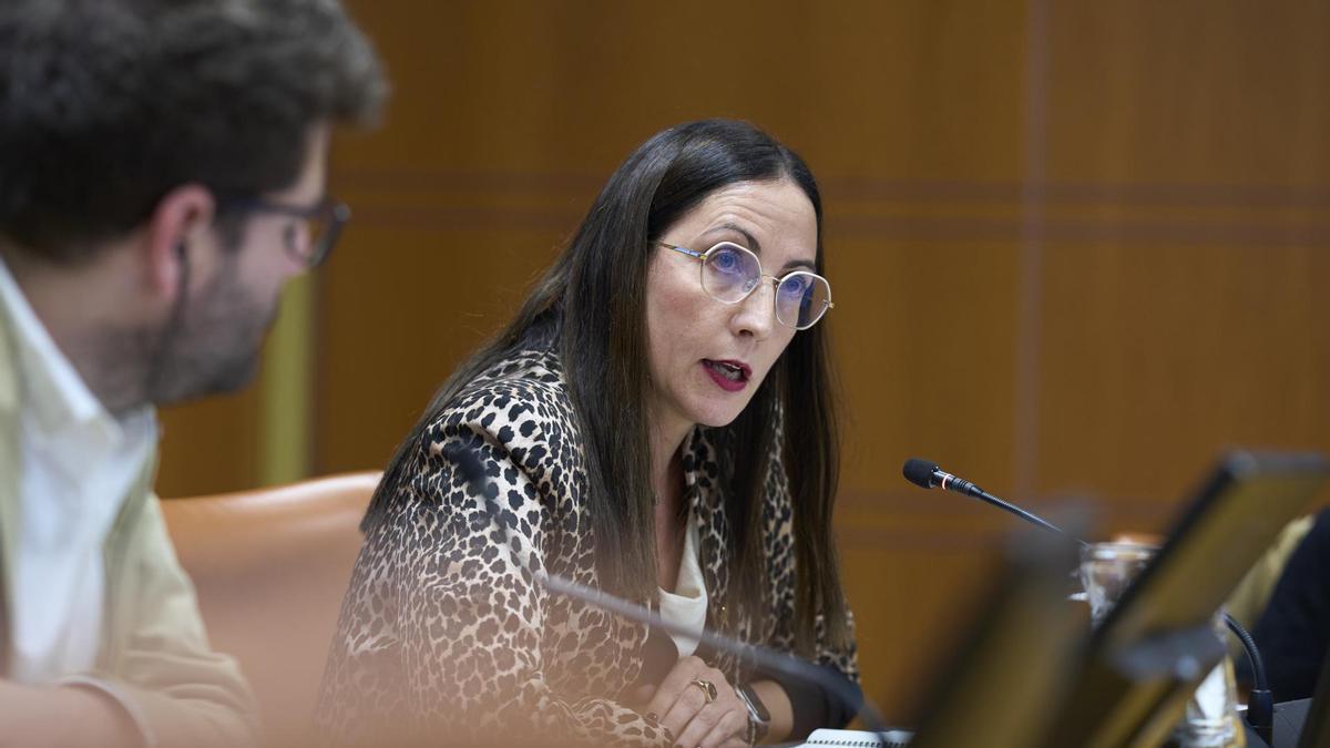 Begoña Pedrosa presenta en la Comisión de Hacienda y Presupuestos del Parlamento Vasco los presupuestos de su departamento para 2025.